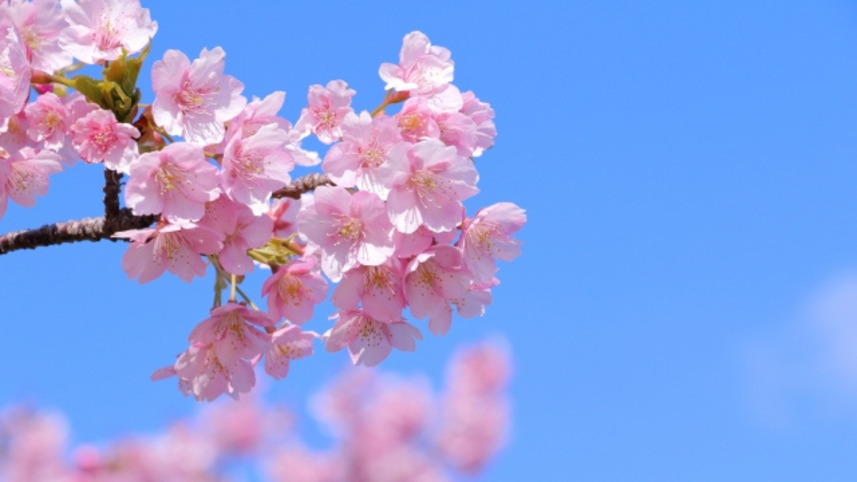 名称未設定のデザイン (15)