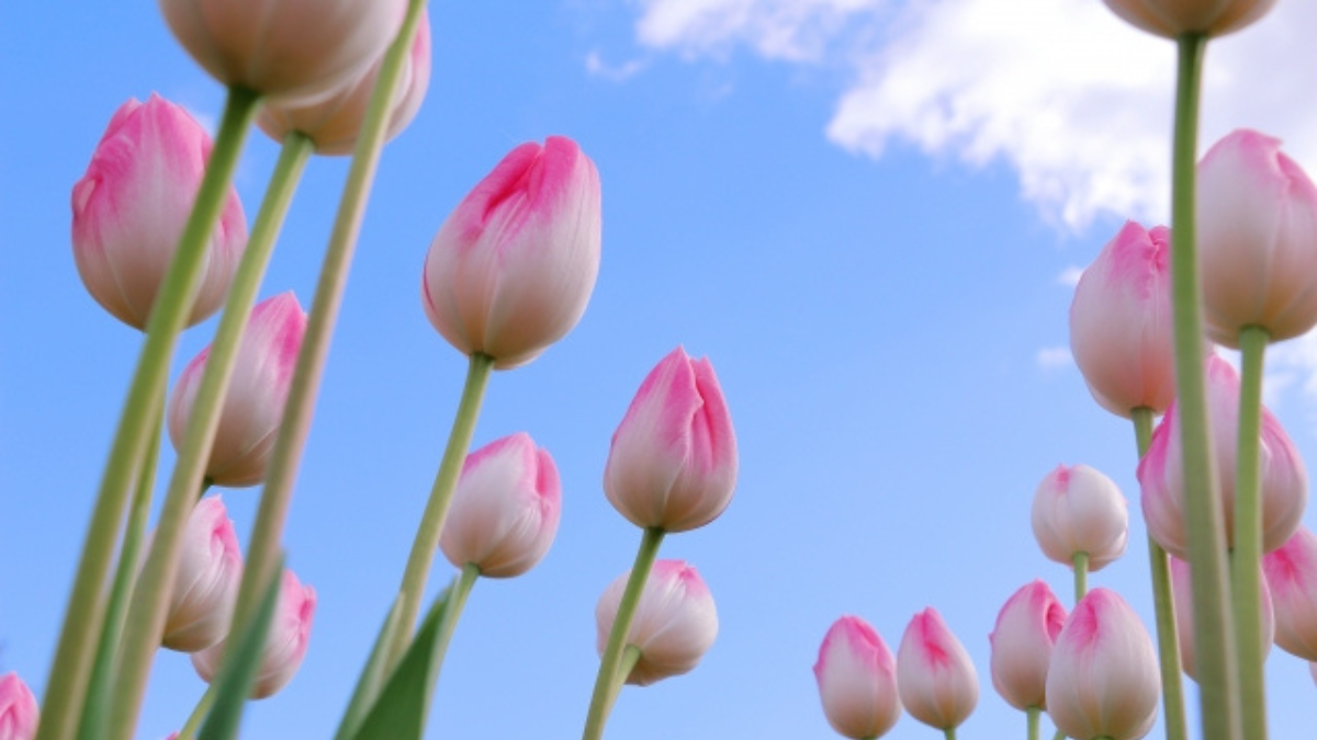 名称未設定のデザイン (12)